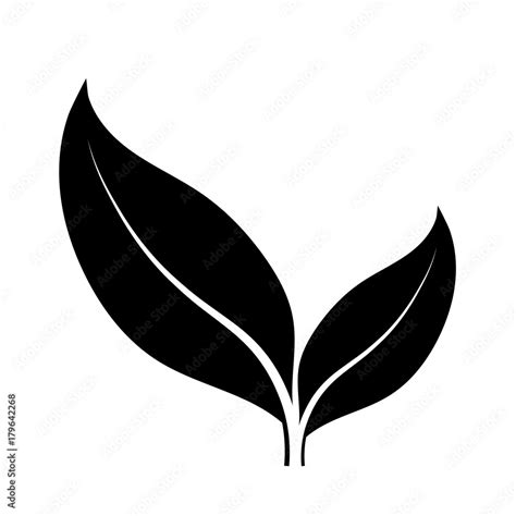 leaf vector black and white.